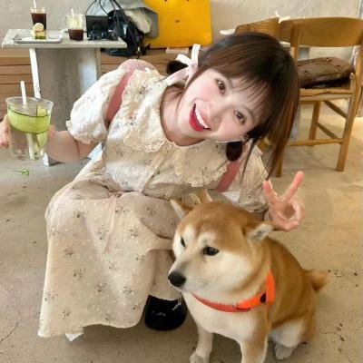 霹雳玫瑰